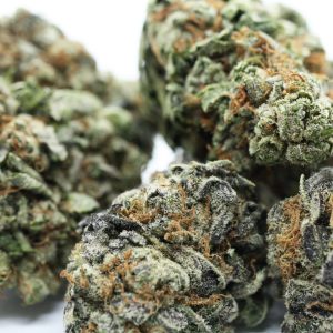 Kush Cookies 1g Dried Flower