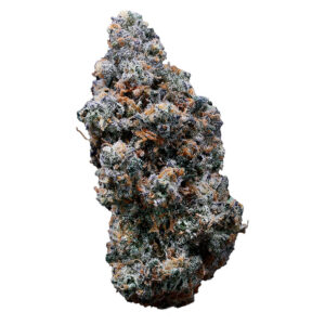 Pistol and Paris BC's Finest 7g Dried Flower