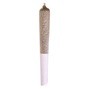 Sugar Shack 1 x 0.5g Pre-Roll