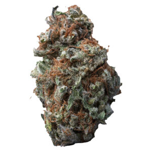 Sasquatch Sap 3.5g Dried Flower